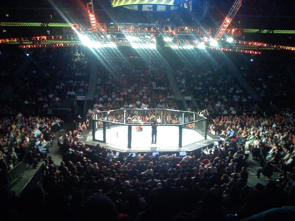 UFC 78