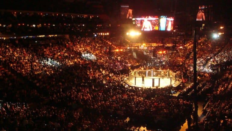 MMA Octagon